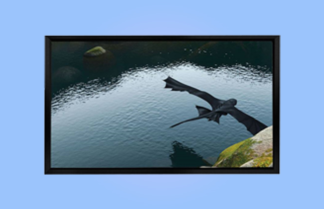 Fixed Frame Projection Screen